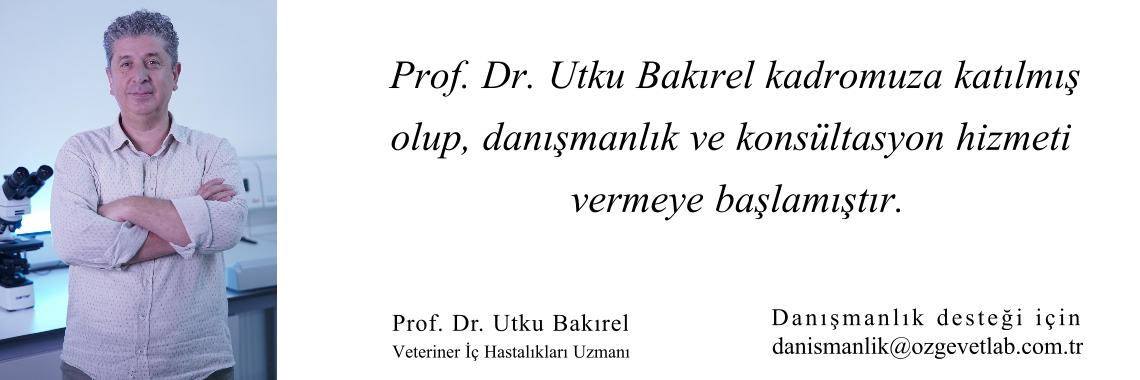 Resim5