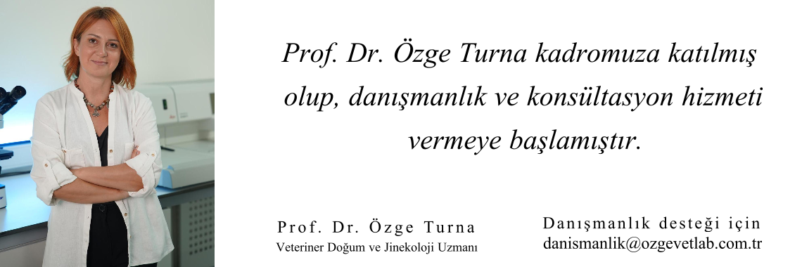 Resim5