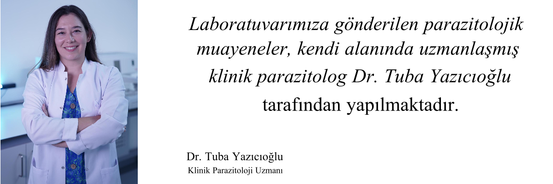 Resim1