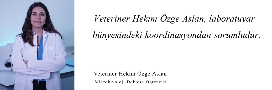 Resim2