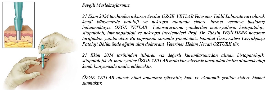 Resim1