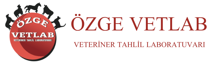 ÖZGE VETLAB VETERİNER LABORATUVARI